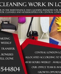 HOUSE CLEANING WORK IN LONDON